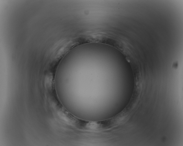 X0000112410231200908281822