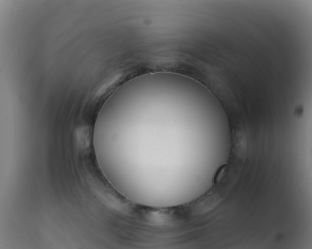 X0000112410232200908281822