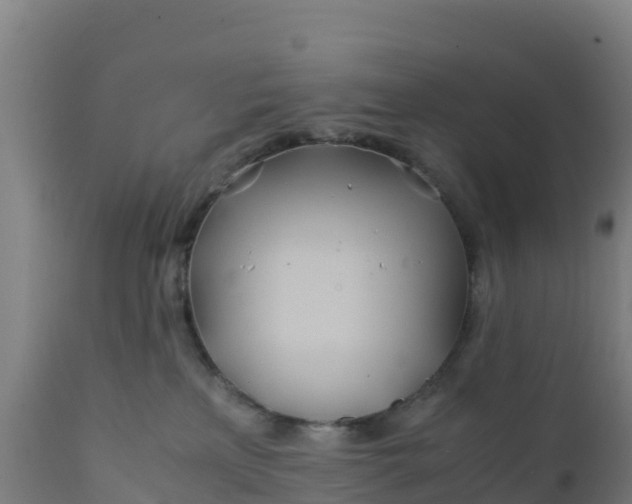 X0000112410233200908281822