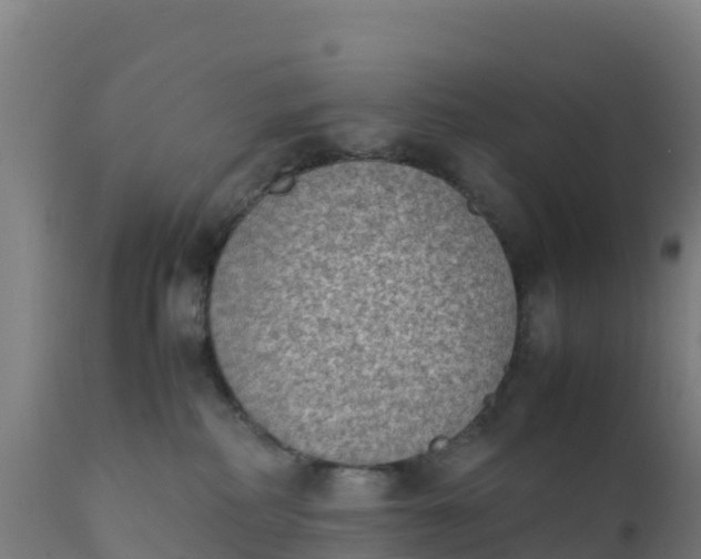 X0000112410234200908281822