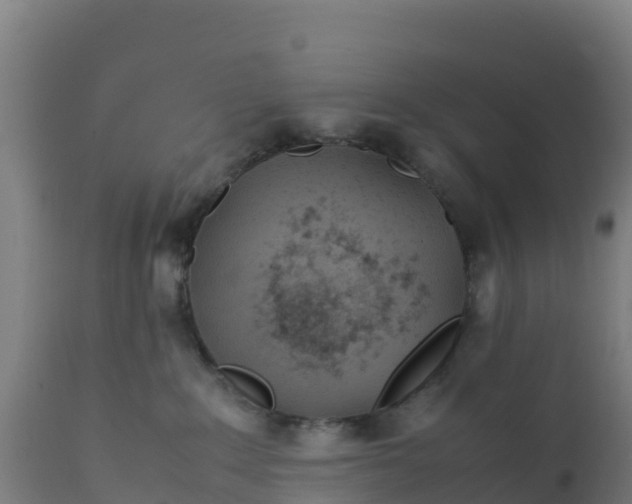 X0000112410235200908281822