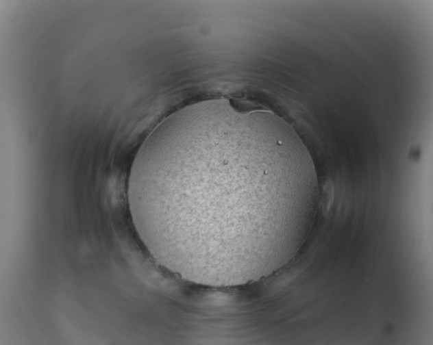 X0000112410236200908281822