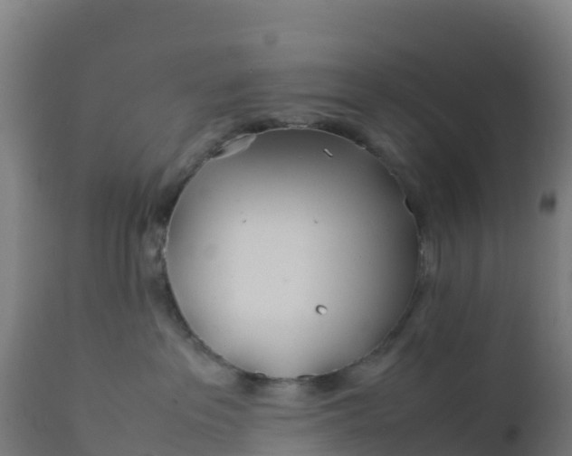 X0000112410237200908281822