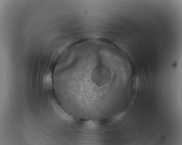 X0000112410238200908281822