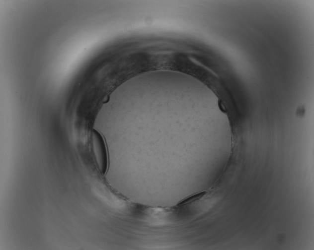 X0000112410239200908281822