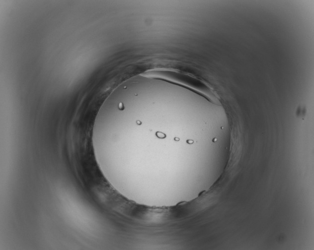 X0000112410240200908281822