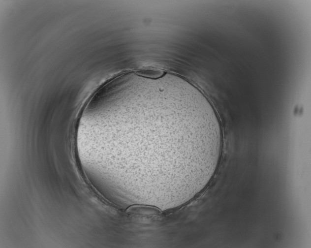 X0000112410241200908281821