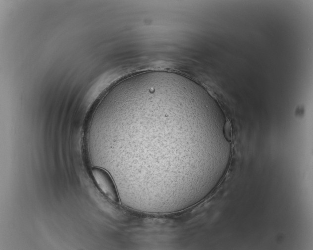 X0000112410242200908281821