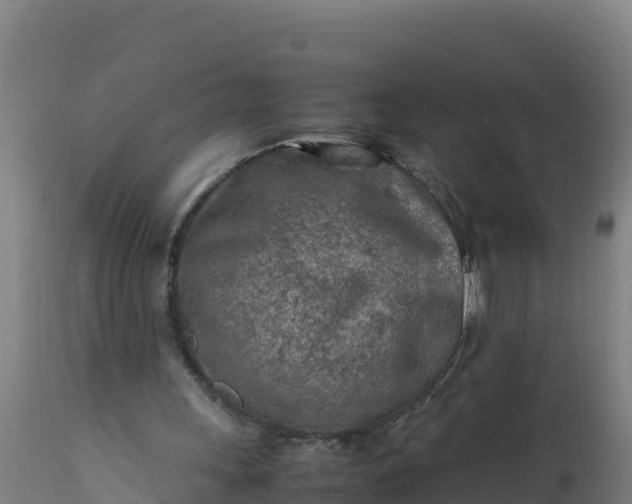 X0000112410243200908281821