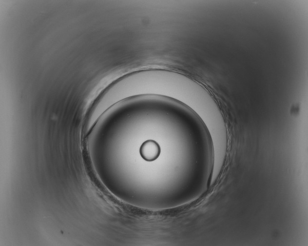 X0000112410244200908281821