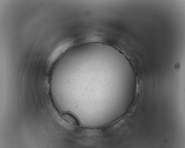 X0000112410245200908281821