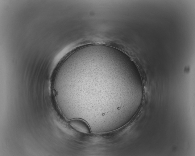 X0000112410246200908281821