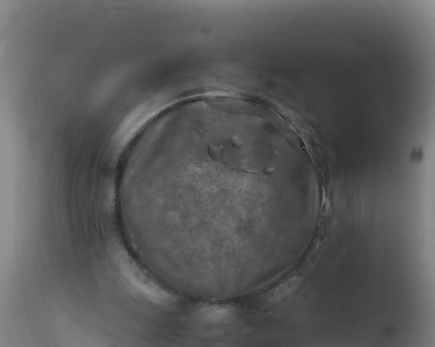 X0000112410247200908281821