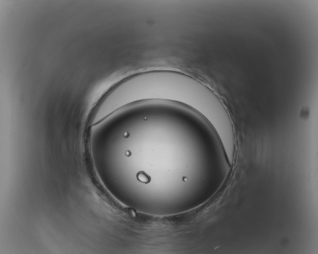 X0000112410248200908281821