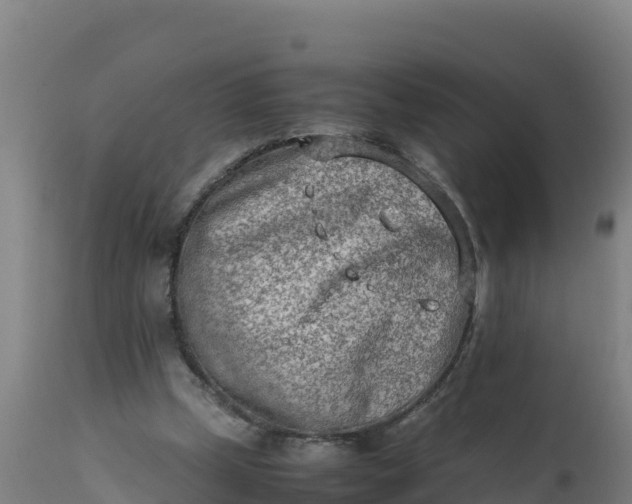 X0000112410249200908281821