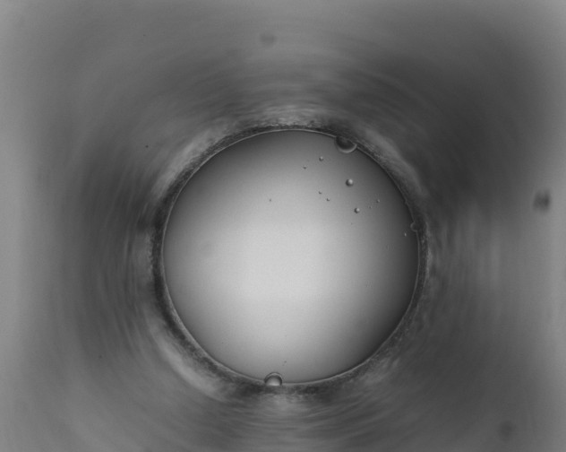 X0000112410250200908281821