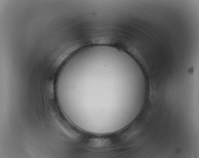 X0000112410251200908281821