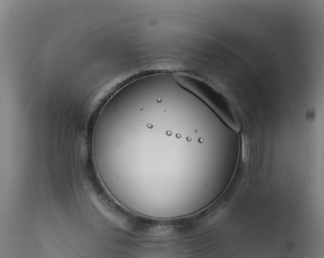 X0000112410252200908281821