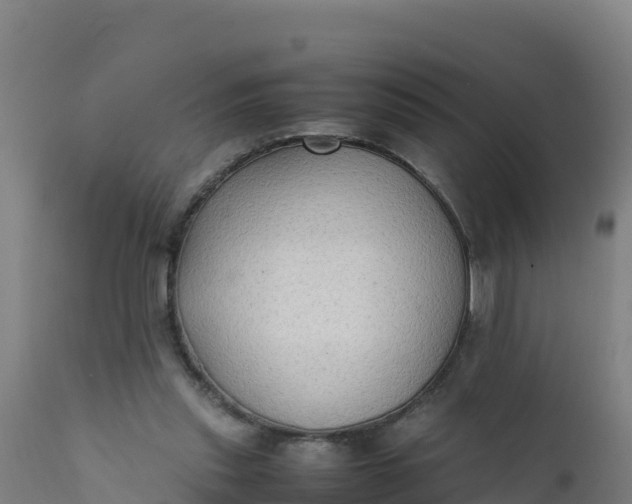 X0000112410253200908281821