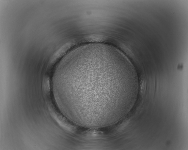 X0000112410254200908281821