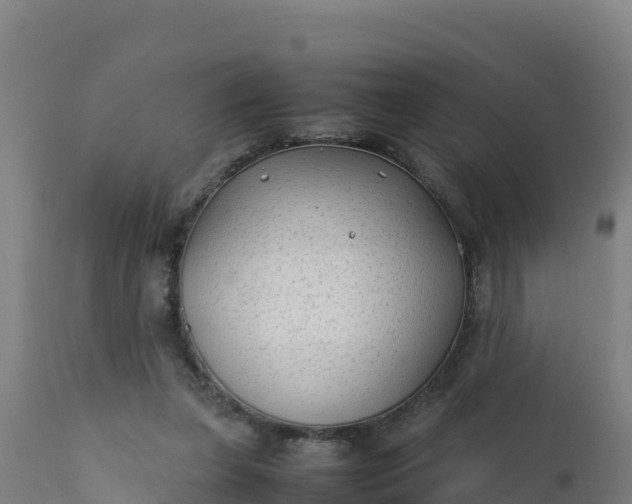 X0000112410255200908281821