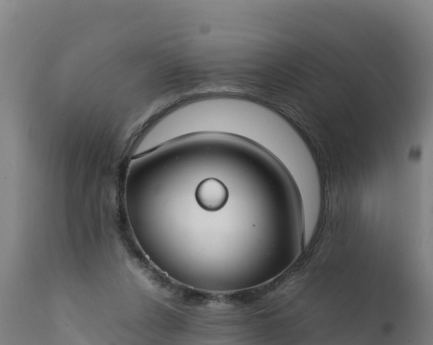 X0000112410256200908281821