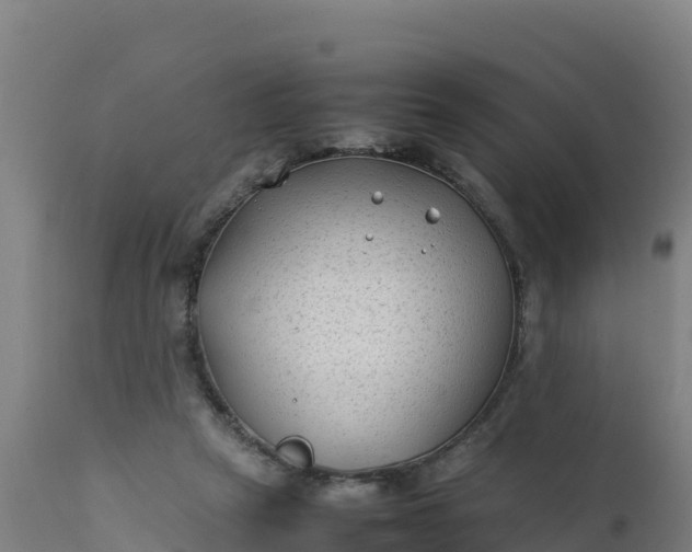 X0000112410257200908281821