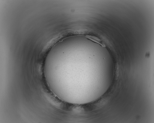 X0000112410258200908281821