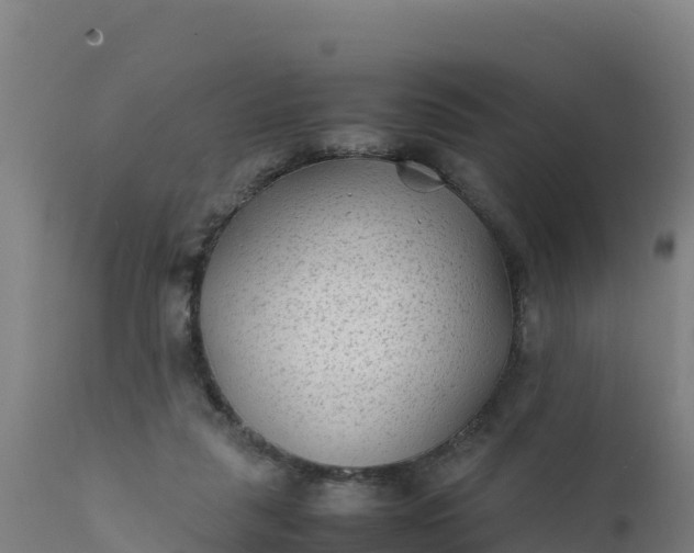 X0000112410259200908281821