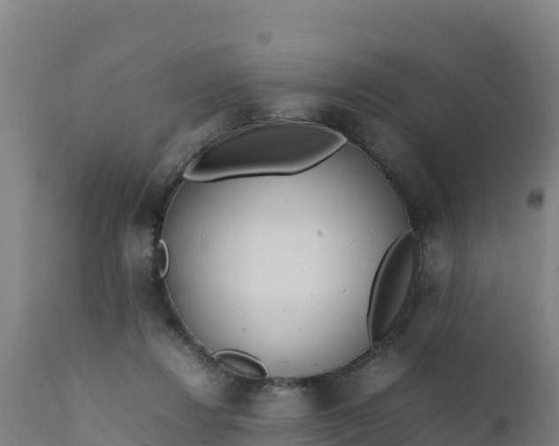 X0000112410260200908281821