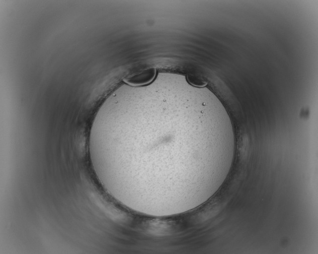 X0000112410261200908281821