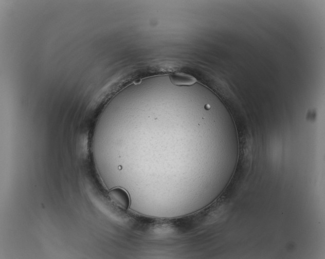 X0000112410262200908281821