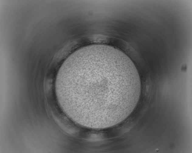 X0000112410263200908281821