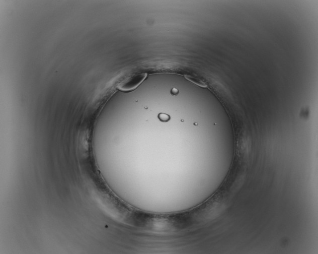 X0000112410264200908281821