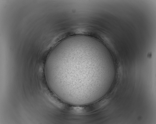 X0000112410265200908281821