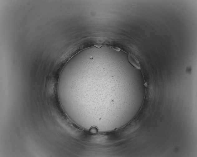 X0000112410266200908281821