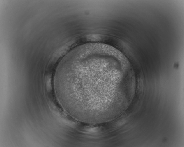 X0000112410267200908281821