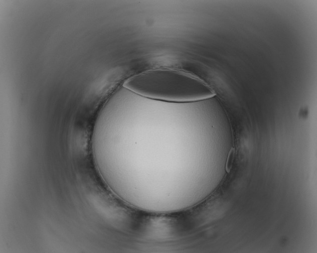 X0000112410268200908281821