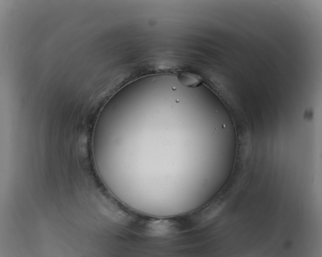 X0000112410269200908281821