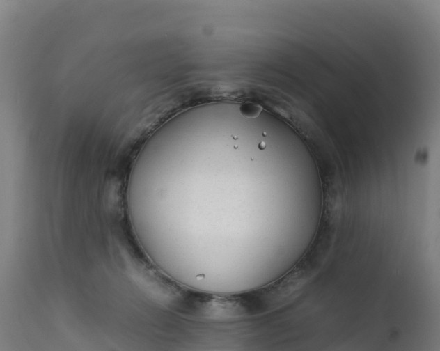 X0000112410270200908281821