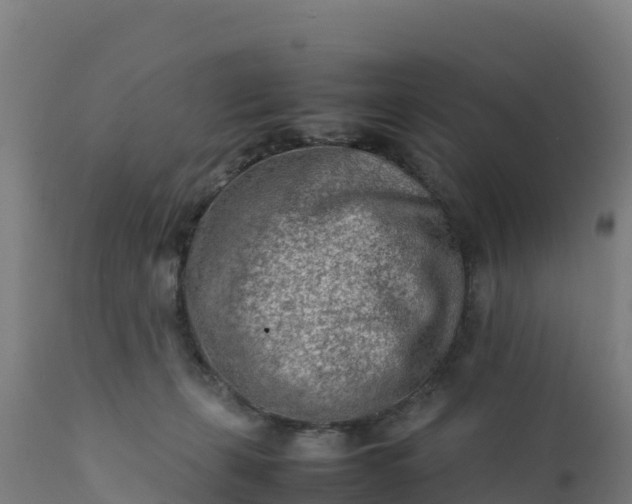 X0000112410271200908281821