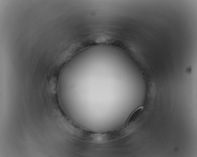 X0000112410273200908281821