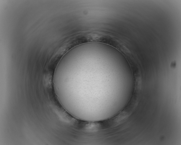 X0000112410274200908281821