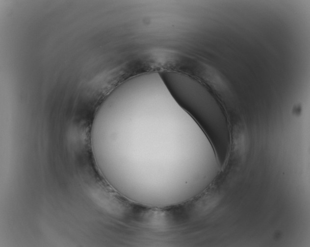 X0000112410276200908281821