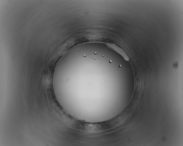 X0000112410277200908281821