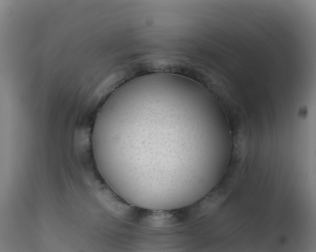 X0000112410278200908281822