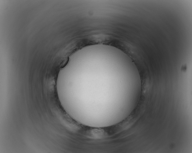 X0000112410279200908281822