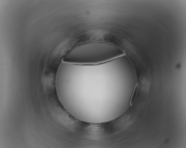 X0000112410280200908281822