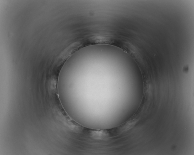 X0000112410281200908281822