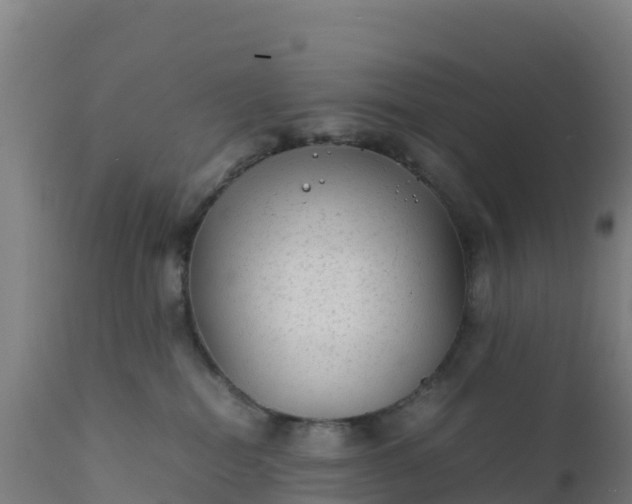 X0000112410282200908281822